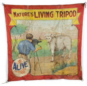 American Hand-Painted Circus Banner of 3-Legged Sheep